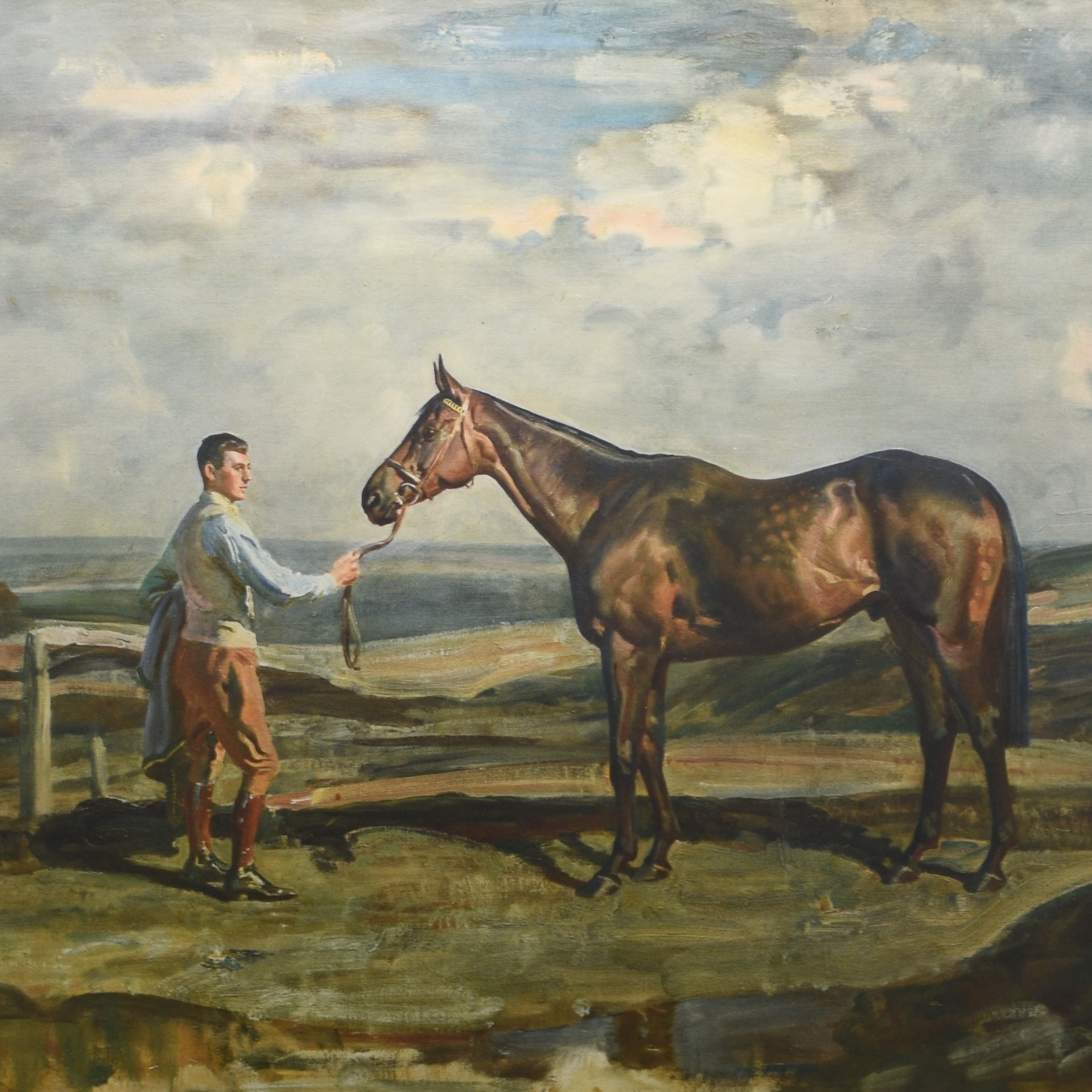 Sporting & Wildlife Auction